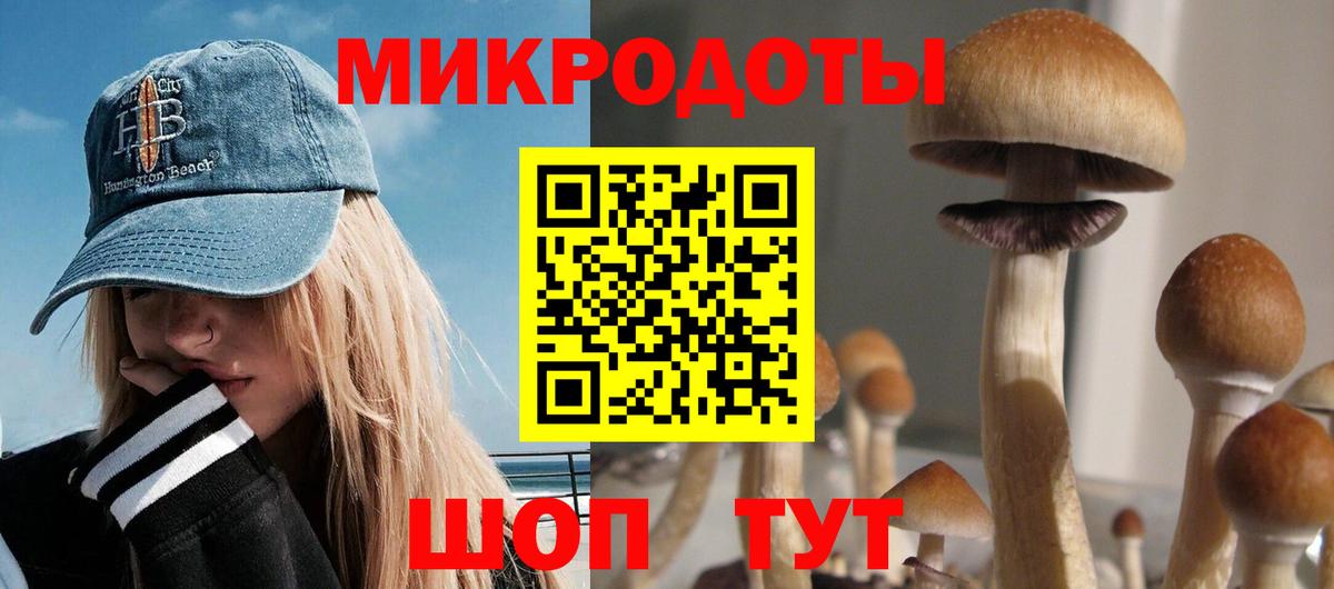 Холмск  где купить   Вход с VPN  Галлюциногенные грибы Cubensis 